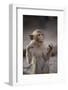 Juvenile Long-Tailed Macaque (Macaca Fascicularis) Flossing its Teeth with String-Mark Macewen-Framed Photographic Print