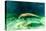 Juvenile Manatee Swimming in Clear Water in Crystal River, Florida-James White-Stretched Canvas