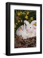 Juvenile New Zealand Rabbit in Easter Basket Among Daffodils and Lavender Tulips, Union-Lynn M^ Stone-Framed Photographic Print