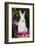 Juvenile New Zealand White Rabbit Sitting in Purple Woven Basket with Tulips, Union-Lynn M^ Stone-Framed Photographic Print