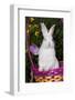 Juvenile New Zealand White Rabbit Sitting in Purple Woven Basket with Tulips, Union-Lynn M^ Stone-Framed Photographic Print