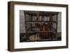 Juvenile Orangutan in Cage-W. Perry Conway-Framed Photographic Print