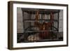 Juvenile Orangutan in Cage-W. Perry Conway-Framed Photographic Print