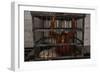 Juvenile Orangutan in Cage-W. Perry Conway-Framed Photographic Print