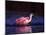 Juvenile Roseate Spoonbill Bathing, Ding Darling NWR, Sanibel Island, Florida, USA-Charles Sleicher-Mounted Photographic Print