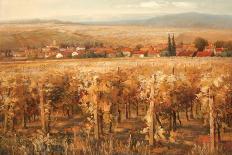 Italian Golden Vineyard-K^ Adams-Stretched Canvas