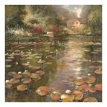 Lily Pond-K^ Adams-Stretched Canvas