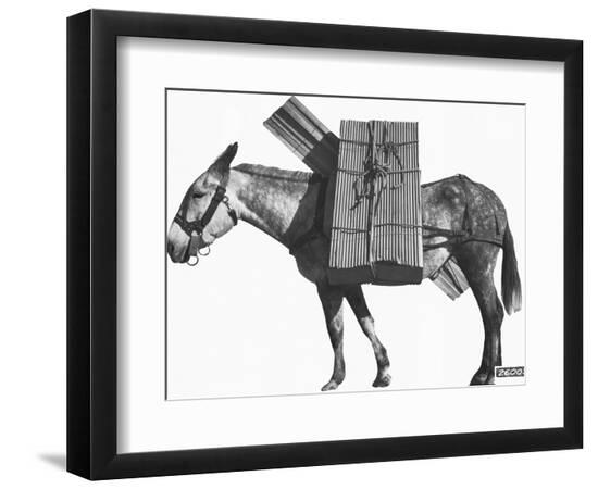 Premium Photographic Print, , large