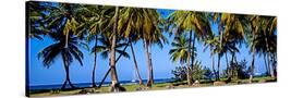 Stretched Canvas