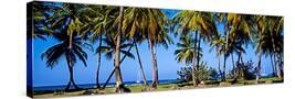 Stretched Canvas