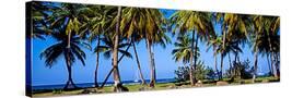 Stretched Canvas
