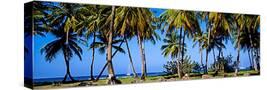 Stretched Canvas