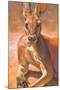 K is for Kangaroo-Rita Kirkman-Mounted Art Print