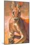 K is for Kangaroo-Rita Kirkman-Mounted Art Print