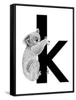 K is for Koala-Stacy Hsu-Framed Stretched Canvas