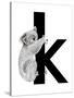 K is for Koala-Stacy Hsu-Stretched Canvas