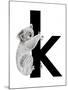 K is for Koala-Stacy Hsu-Mounted Art Print