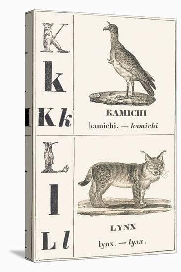 K L: Kamichi — Lynx, 1850 (Engraving)-Louis Simon (1810-1870) Lassalle-Stretched Canvas