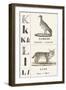 K L: Kamichi — Lynx, 1850 (Engraving)-Louis Simon (1810-1870) Lassalle-Framed Giclee Print