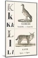 K L: Kamichi — Lynx, 1850 (Engraving)-Louis Simon (1810-1870) Lassalle-Mounted Giclee Print