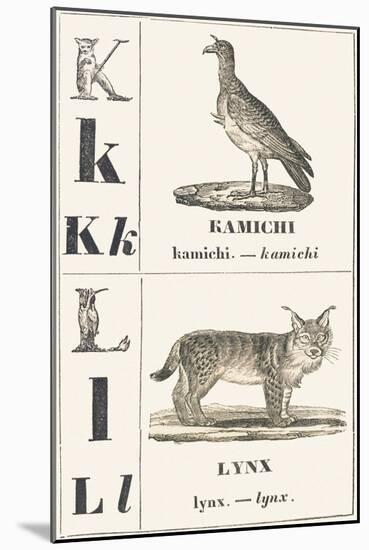 K L: Kamichi — Lynx, 1850 (Engraving)-Louis Simon (1810-1870) Lassalle-Mounted Giclee Print