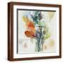 Brown Frame