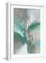 White Frame