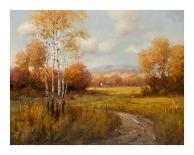 Tuscan Hill View-K^ Park-Stretched Canvas