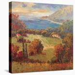 Tuscan Hill View-K. Park-Stretched Canvas