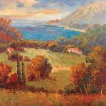 Tuscan Hill View-K. Park-Stretched Canvas