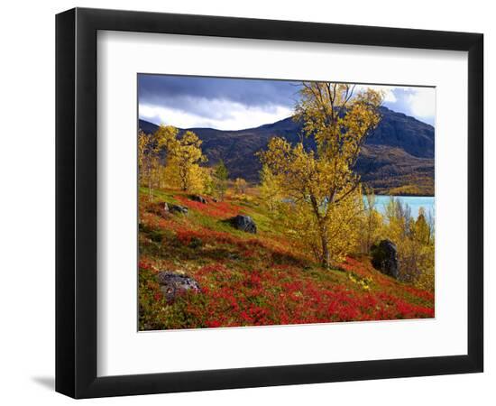 Photographic Print, , large