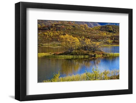 Premium Photographic Print, , large