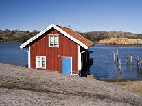 Sweden, Sweden Small House Between Pink Blooming Fireweed Midsummer Night Flowers-K. Schlierbach-Photographic Print