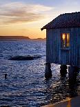 Sweden, Sweden Small House Between Pink Blooming Fireweed Midsummer Night Flowers-K. Schlierbach-Photographic Print