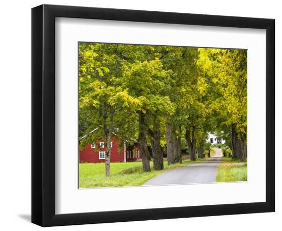 Premium Photographic Print, , large