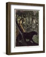 Kaa's Hunt, Illustration from 'The Jungle Book' by Rudyard Kipling-Maurice de Becque-Framed Giclee Print