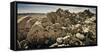 Kaare Iverson Sends A Route In Joshua Tree National Park, California-Dan Holz-Framed Stretched Canvas