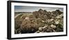 Kaare Iverson Sends A Route In Joshua Tree National Park, California-Dan Holz-Framed Photographic Print