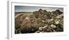 Kaare Iverson Sends A Route In Joshua Tree National Park, California-Dan Holz-Framed Photographic Print