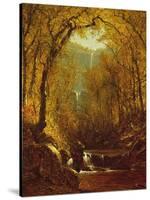 Kaaterskill Falls, 1871-Sanford Robinson Gifford-Stretched Canvas