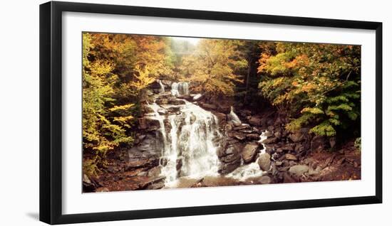 Kaaterskill Falls Stream Through the Forest of the Catskill Mountains, New York State, USA-null-Framed Photographic Print