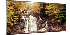 Kaaterskill Falls Stream Through the Forest of the Catskill Mountains, New York State, USA-null-Mounted Photographic Print