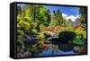 Kabota Gardens in Seattle-Terry Eggers-Framed Stretched Canvas