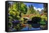 Kabota Gardens in Seattle-Terry Eggers-Framed Stretched Canvas