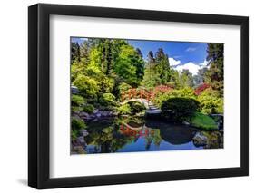 Kabota Gardens in Seattle-Terry Eggers-Framed Photographic Print