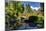 Kabota Gardens in Seattle-Terry Eggers-Mounted Photographic Print
