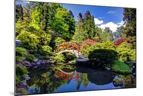 Kabota Gardens in Seattle-Terry Eggers-Mounted Photographic Print