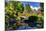 Kabota Gardens in Seattle-Terry Eggers-Mounted Photographic Print