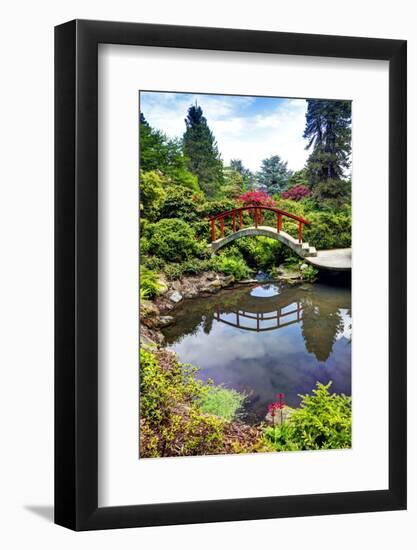 Kabota Gardens in Seattle-Terry Eggers-Framed Photographic Print