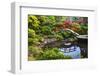 Kabota Gardens in Seattle-Terry Eggers-Framed Photographic Print